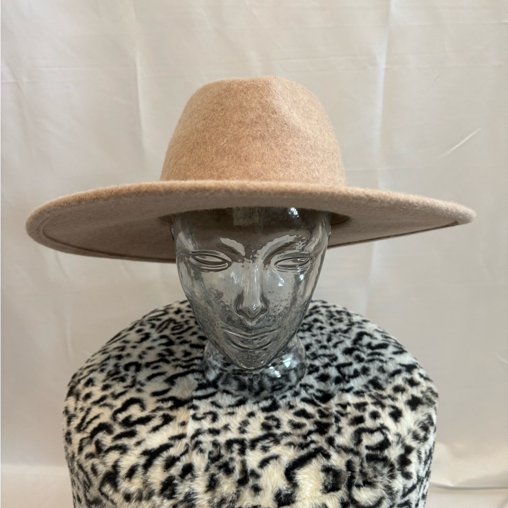 Universal Thread Classic Tan Hat - image 2